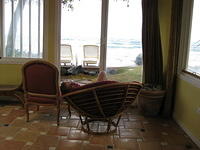 Joe in our lanai - resting after a long flight!