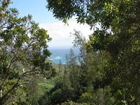 The view out over Hau'ula.