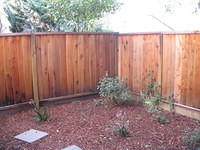 The backyard - WE HAVE A BACKYARD!!!