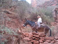 Day 5 - Down the Grand Canyon