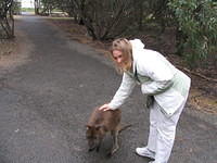 Kangaroo Island